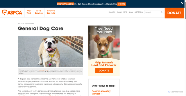 Security scan screenshot of https://www.aspca.org/pet-care/dog-care/general-dog-care