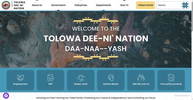 Security scan screenshot of https://www.tolowa.gov/