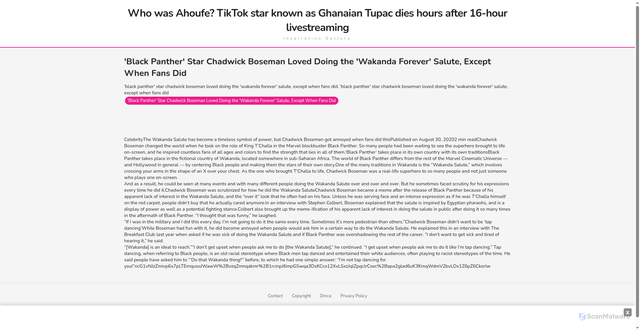 Security scan screenshot of https://louaymardambekhugo-bgd6u9643s.edgeone.app/23528-black-panther-star-chadwick-boseman-loved-doing-the-wakanda-forever-salute-except-when-fans-did.html