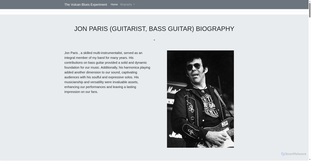 Security scan screenshot of https://vinyl-records.nl/johnny-winter/musicians/jon-paris/jon-paris-biography-bass-guitar-harmonica.html