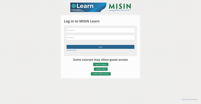 Security scan screenshot of https://learn.misin.msu.edu/mod/url/view.php?id=231