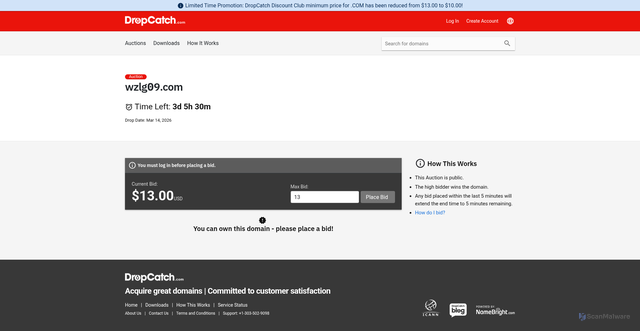 Security scan screenshot of https://wzlg09.com/