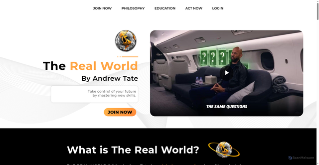 Security scan screenshot of https://www.therealworld.org/