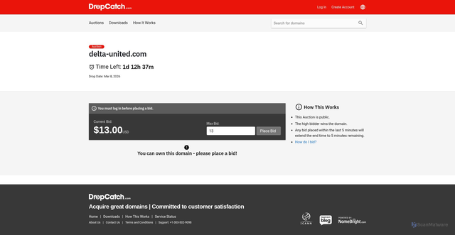 Security scan screenshot of https://delta-united.com/
