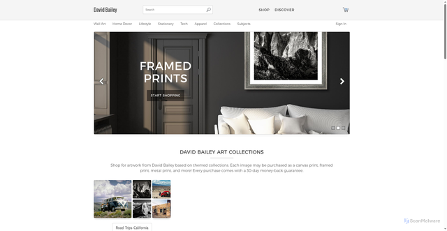 Security scan screenshot of https://4-david-bailey.pixels.com/