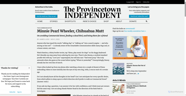 Security scan screenshot of https://provincetownindependent.org/community/2022/11/02/minnie-pearl-wheeler-chihuahua-mutt/