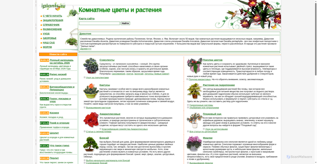 Security scan screenshot of https://iplants.ru