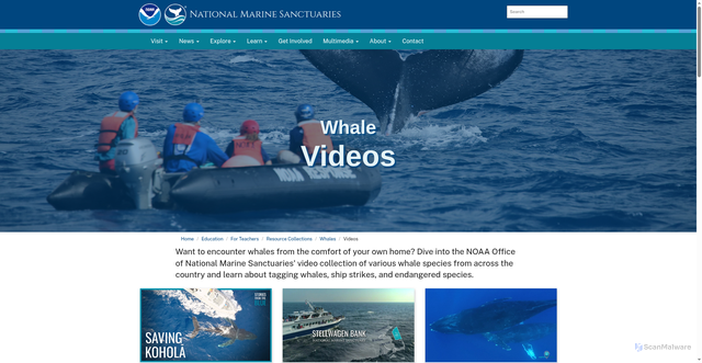 Security scan screenshot of https://sanctuaries.noaa.gov/education/teachers/whales/videos.html
