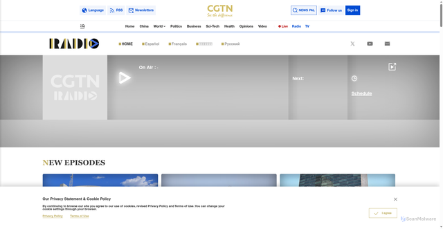 Security scan screenshot of https://news.cri.cn