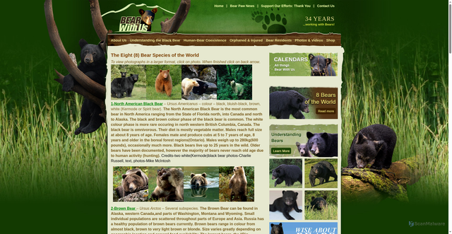 Security scan screenshot of https://bearwithus.org/8-bears-of-the-world/