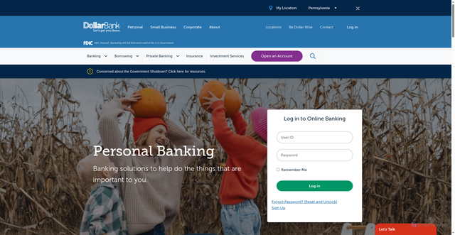 Security scan screenshot of https://dollar.bank/
