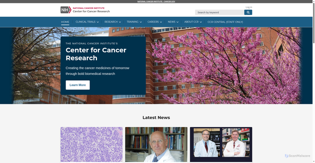Security scan screenshot of https://ccr.cancer.gov
