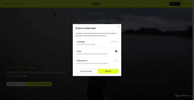 Security scan screenshot of https://geistsailing.se