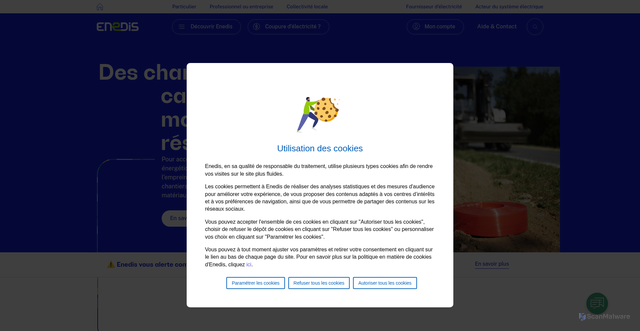 Security scan screenshot of https://enedis.fr