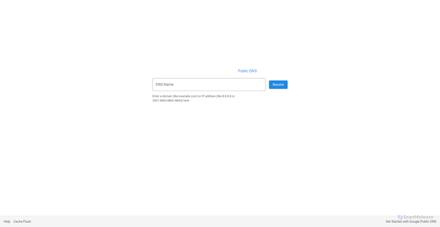 Security scan screenshot of https://8.8.8.8