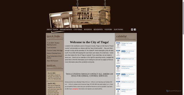 Security scan screenshot of https://www.tiogatx.gov/