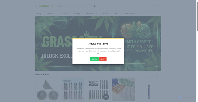 Security scan screenshot of https://grasscity.com.au