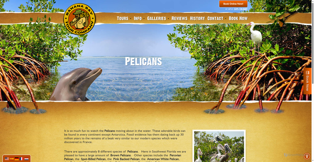 Security scan screenshot of https://bananabaytourcompany.com/pelicans/