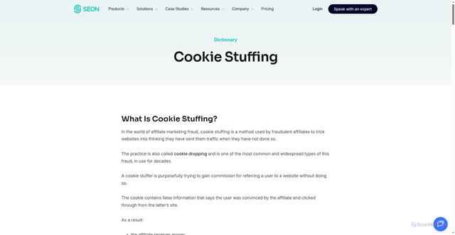 Security scan screenshot of https://seon.io/resources/dictionary/cookie-stuffing/