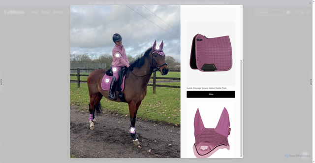 Security scan screenshot of https://lemieux.com