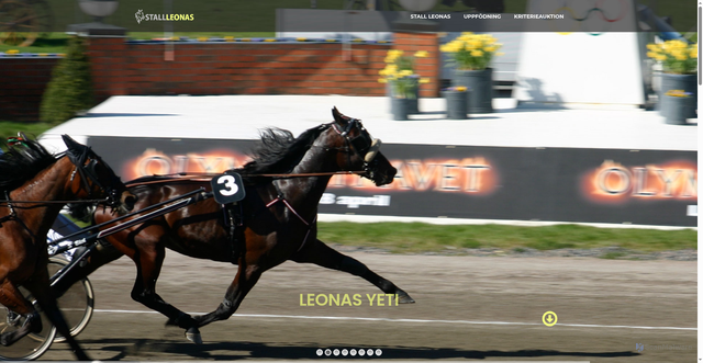 Security scan screenshot of https://leonas.se/