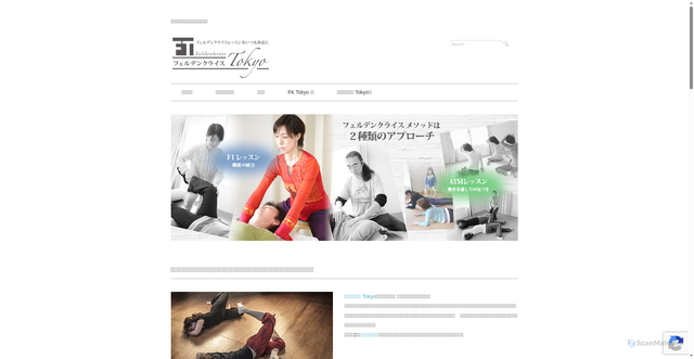 Security scan screenshot of https://feldenkrais.tokyo.jp