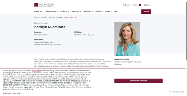 Security scan screenshot of https://www.ali.org/profile/5352