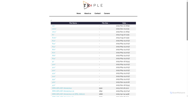 Security scan screenshot of https://almalinux.mirror.wearetriple.com