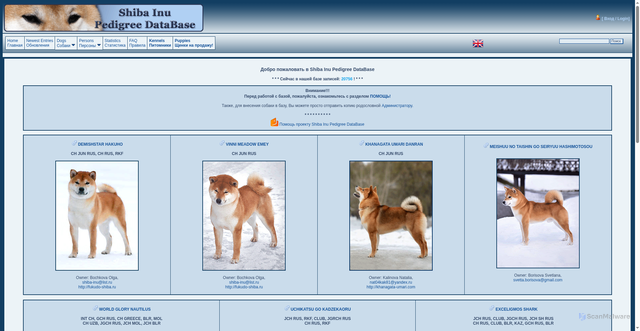 Security scan screenshot of https://www.shiba-pedigree.ru