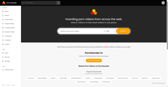 Security scan screenshot of https://pornhoarder.tv