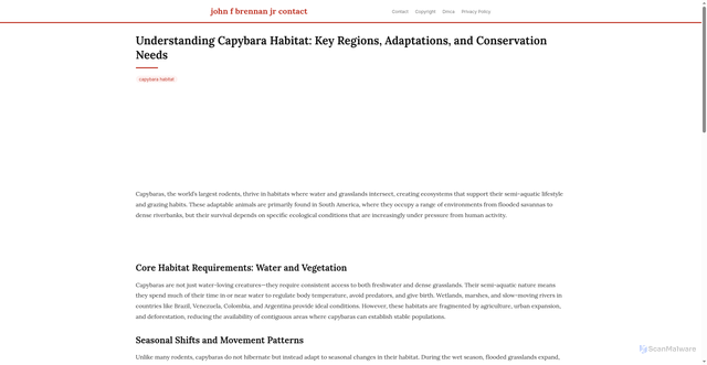Security scan screenshot of https://aksarasantaisphere-dpc9bj3xyvxw.edgeone.app/capybara-habitat.html