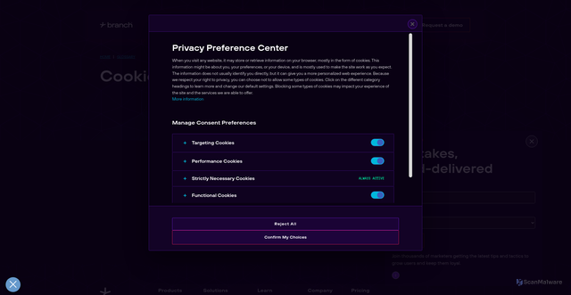 Security scan screenshot of https://www.branch.io/glossary/cookie-stuffing/