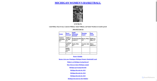 Security scan screenshot of https://mwolverine.com/Michigan_Basketball_Women.html