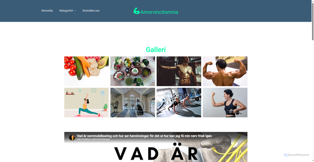 Security scan screenshot of https://amorvincitomnia.se