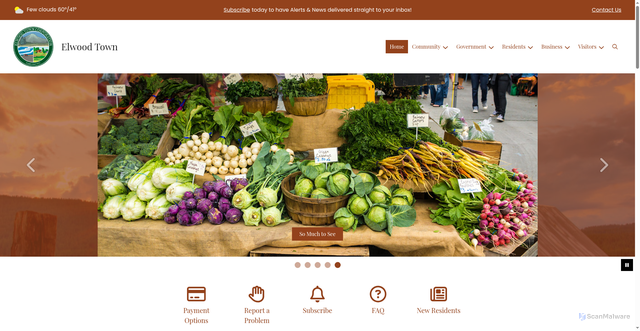 Security scan screenshot of https://elwoodtown.gov/