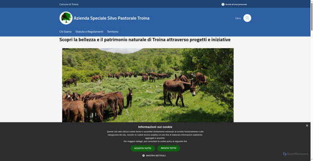 Security scan screenshot of https://www.silvopastoraletroina.it/it