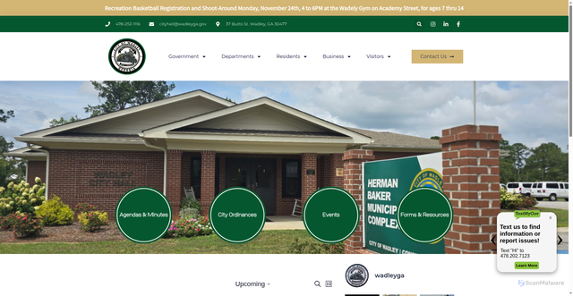 Security scan screenshot of https://wadleyga.gov/