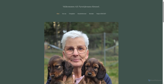 Security scan screenshot of https://fyrstjarnans-kennel.se