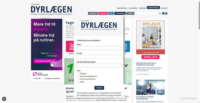 Security scan screenshot of https://xn--dyrlgen-pxa.nu
