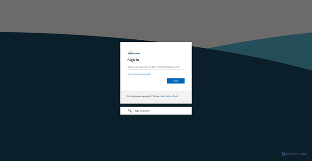 Security scan screenshot of https://brighthorizons.file.force.com