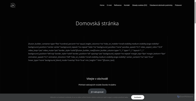 Security scan screenshot of https://davidhruby.cz