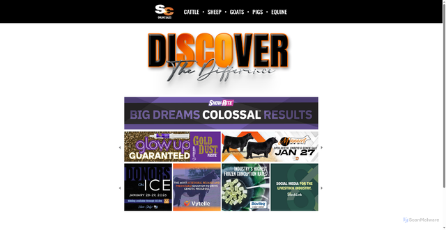 Security scan screenshot of https://sconlinesales.com