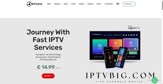Security scan screenshot of https://iptvb1g.com