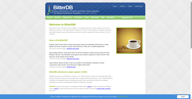 Security scan screenshot of https://bitterdb.agri.huji.ac.il
