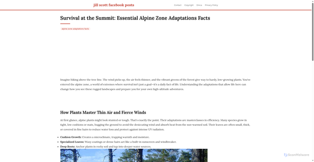 Security scan screenshot of https://billythekiddvdsblog-dp285s0loijz.edgeone.app/alpine-zone-adaptations-facts.html
