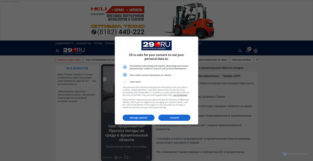 Security scan screenshot of https://29.ru