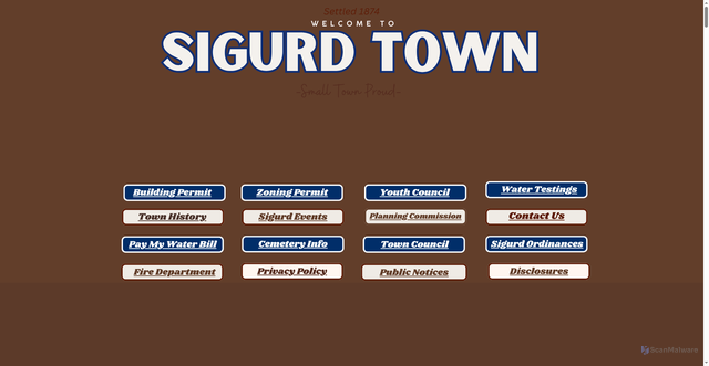 Security scan screenshot of https://sigurdtown.gov/