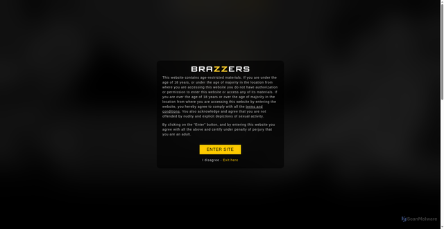 Security scan screenshot of https://brazzerssurvey.com