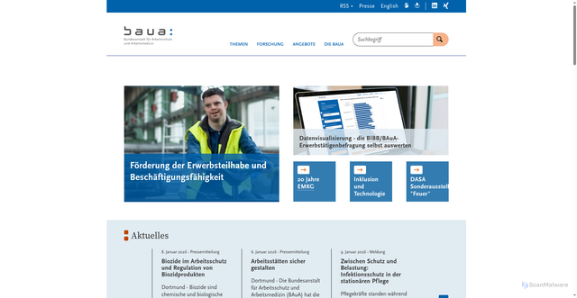 Security scan screenshot of http://www.baua.de/DE/Home