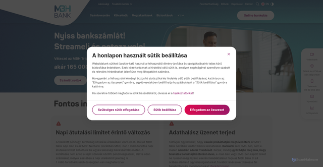 Security scan screenshot of https://sellartegt.com/wp-includes/js/tinymce/v1/
